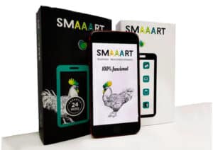 smaaart sostenible