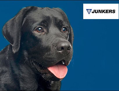 Perro junkers