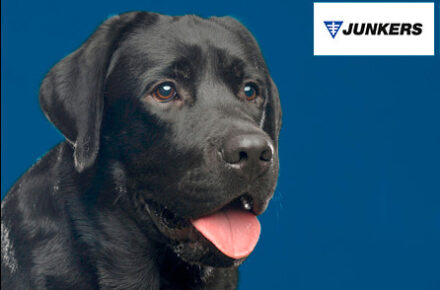 Perro junkers
