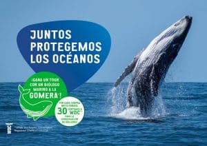 BRITA vuelve a unir fuerzas con la ONG Whale and Dolphin Conservation (WDC) en su lucha contra el cambio climático