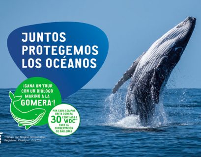 BRITA vuelve a unir fuerzas con la ONG Whale and Dolphin Conservation (WDC) en su lucha contra el cambio climático
