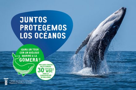 BRITA vuelve a unir fuerzas con la ONG Whale and Dolphin Conservation (WDC) en su lucha contra el cambio climático