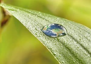 dia mundial del agua miele