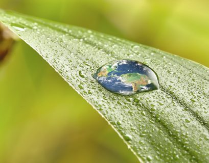 dia mundial del agua miele