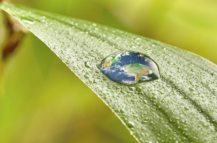 dia mundial del agua miele