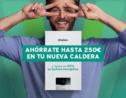 vaillant