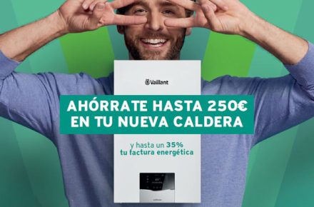vaillant