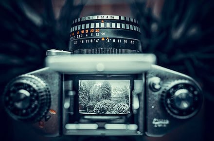 fotografía navideña
